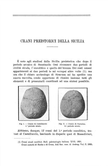 CRANI PREISTORICI DELLA SICILIA - Isita-org.com