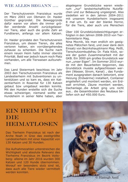 Tierheim Franziskus Informationsflyer