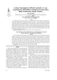 Lahana Yaprakgüvesi (Plutella xylostella, L.) - Ekoloji