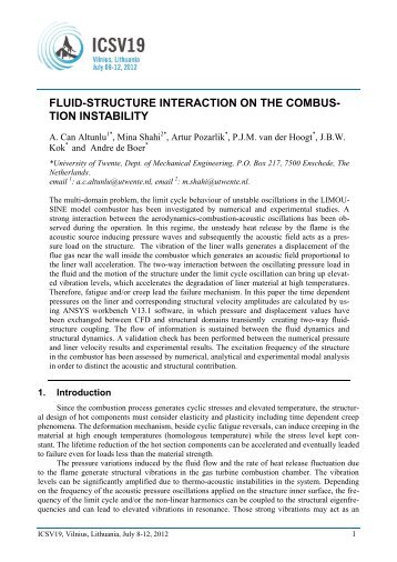 FLUID-STRUCTURE INTERACTION ON THE COMBUS- TION ...