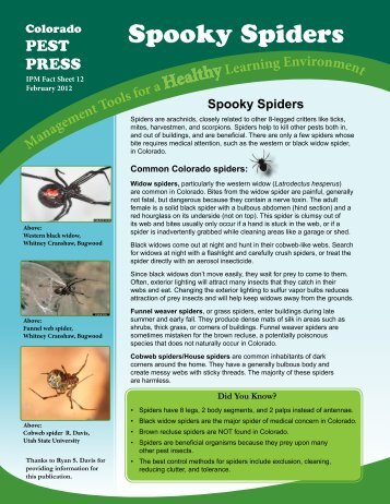 Spooky Spiders - Center for Sustainable Integrated Pest ...