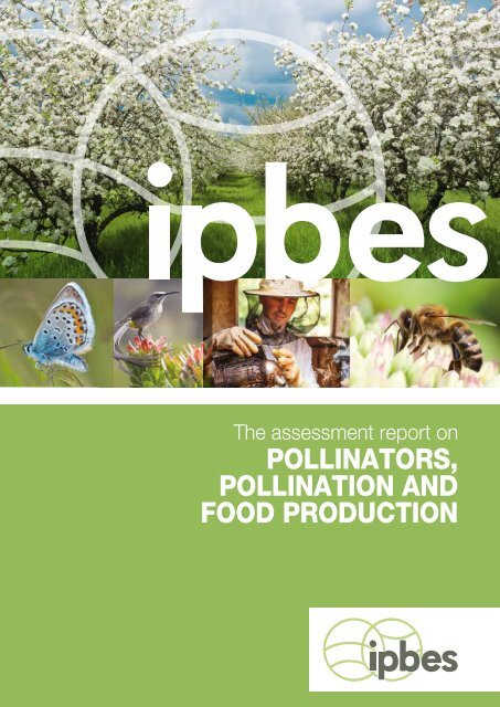 Pollinators Pollination And Food Production Pollinators Pollination And Food Production