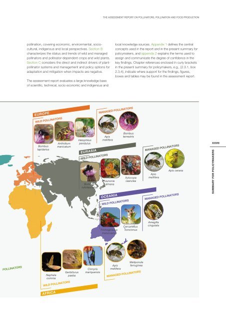 POLLINATORS POLLINATION AND FOOD PRODUCTION