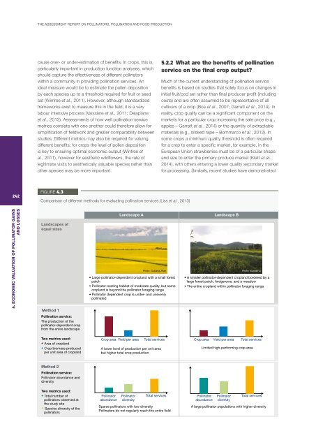 POLLINATORS POLLINATION AND FOOD PRODUCTION