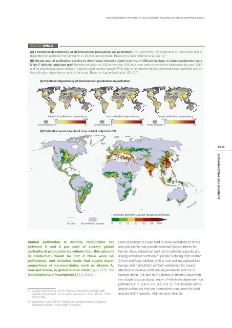 POLLINATORS POLLINATION AND FOOD PRODUCTION