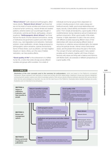 POLLINATORS POLLINATION AND FOOD PRODUCTION