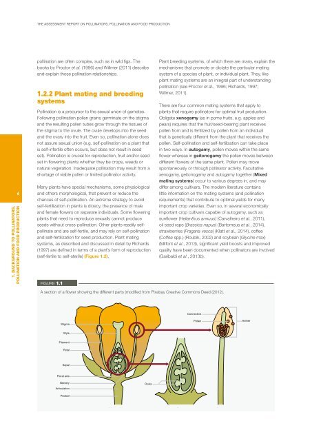 POLLINATORS POLLINATION AND FOOD PRODUCTION