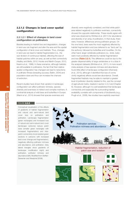 POLLINATORS POLLINATION AND FOOD PRODUCTION