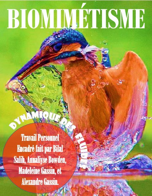 TPE Biomimétisme