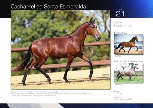 Catalogo Marcha News - VI Santa Esmeralda -