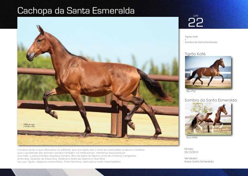 Catalogo Marcha News - VI Santa Esmeralda -