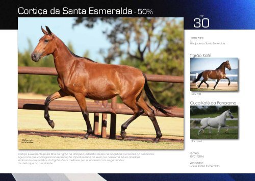 Catalogo Marcha News - VI Santa Esmeralda -