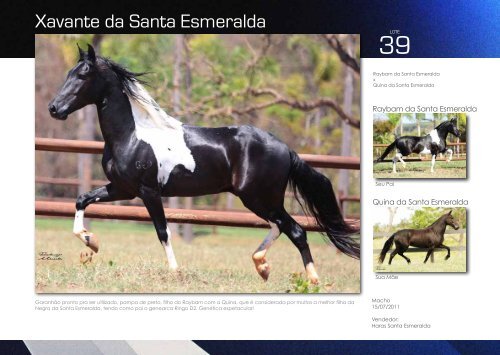 Catalogo Marcha News - VI Santa Esmeralda -