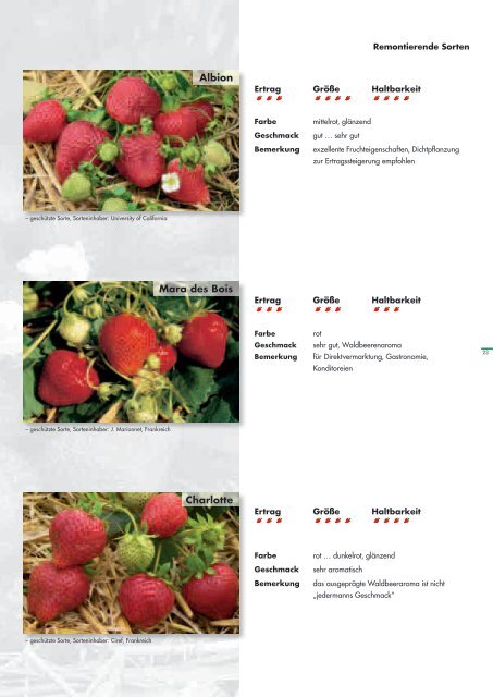 Erdbeer- und Himbeerpflanzen - Kraege.de