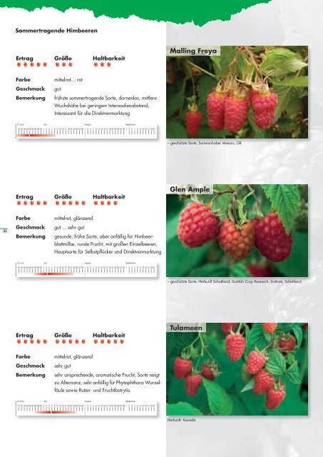 Erdbeer- und Himbeerpflanzen - Kraege.de