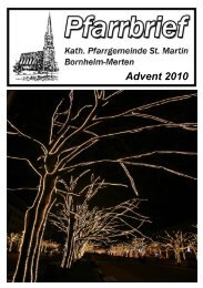 Advent 2010 - Merten-Mooses