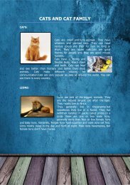 19 The facts about cats