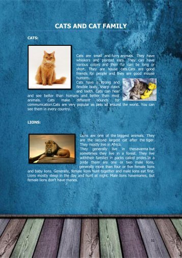 19 The facts about cats