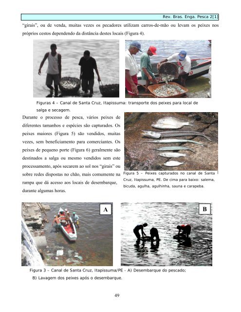 Revista Brasileira de Engenharia de Pesca