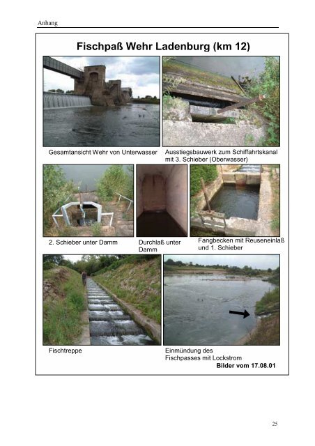 Analyse der Durchgängigkeit von Fischpässen am stauregulierten