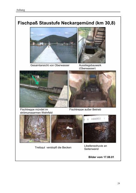 Analyse der Durchgängigkeit von Fischpässen am stauregulierten