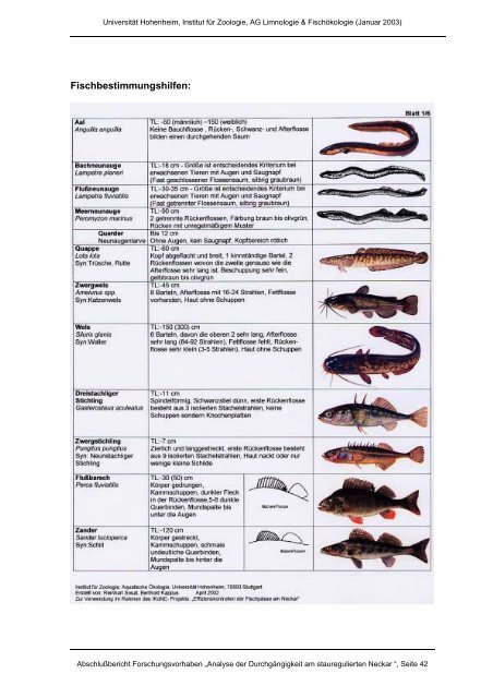 Analyse der Durchgängigkeit von Fischpässen am stauregulierten