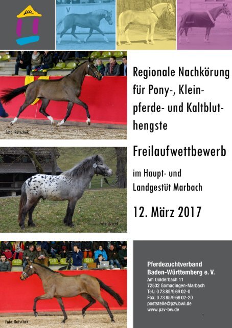 Katalog Ponykörung und Freilaufwettbewerb 2017