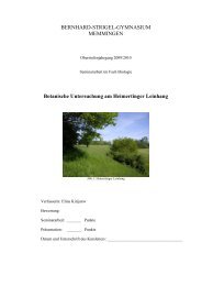 Botanische Untersuchung am Heimertinger Leinhang - German Weber