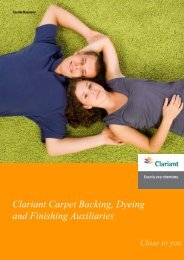 Master for A4 brochure in Powerpoint - Clariant