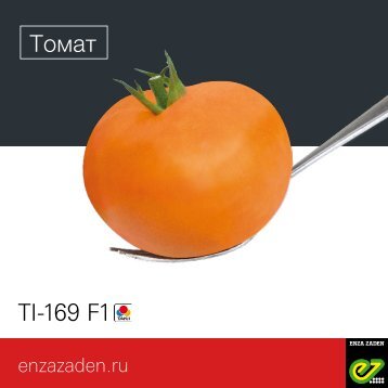 Томат TI-169 F1 | Takii
