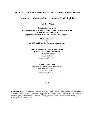 The Effects of Roads and Culverts on Stream - WVU Division of ...