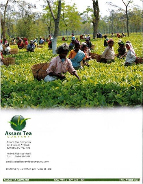 Assam Tea Co. 2011 Catalog