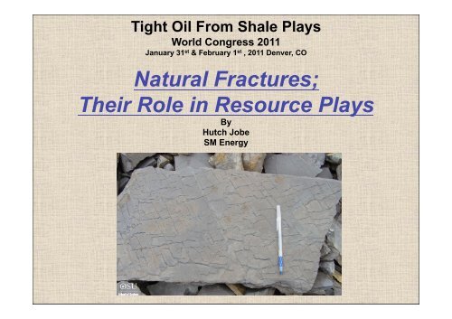 Hutch Jobe, SM Energy - Tight Oil From Shale Plays World ...