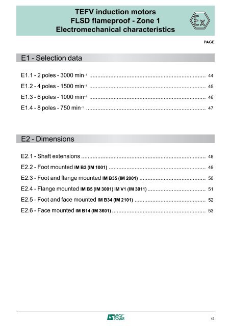 3-phase TEFV induction motors ATEX GAS - Zones 1 & 2