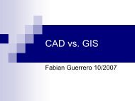 CAD vs GIS.pdf - NETS