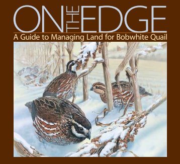 On the Edge: A Guide to Managing Land for Bobwhite Quail