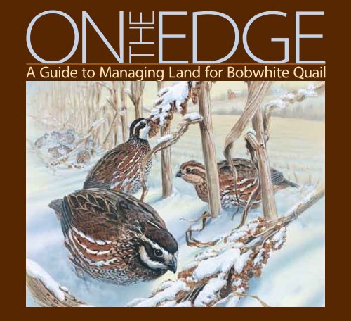 On the Edge: A Guide to Managing Land for Bobwhite Quail