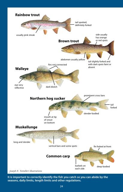 Missouri Fishing Regulations - Missouri Department of Conservation