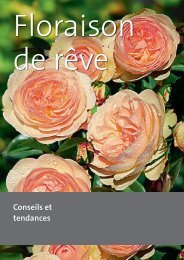 PDF Floraison de rêve