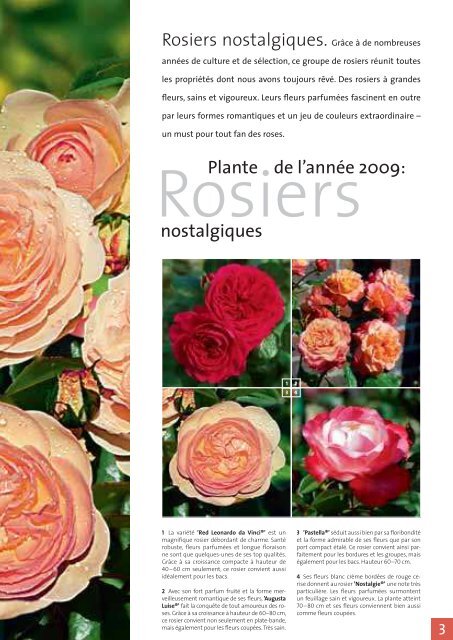 Chers Amis De