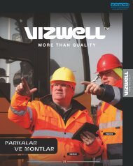 vizwell