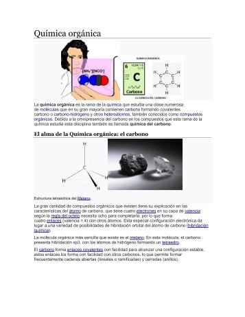 Química orgánica