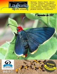 Laguna, Revista urbana – 1° trimestre de 2017