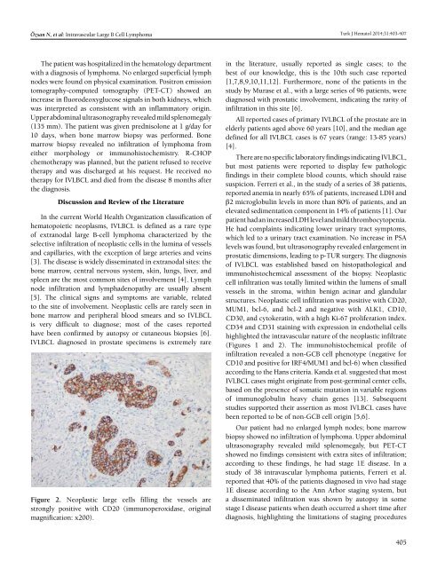 Turkish Journal of Hematology Volume: 31 - Issue: 4