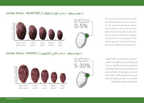 Nakheel Palestine Catalogue2