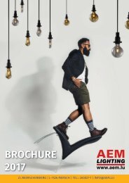 Brochure AEM Lighting 2017