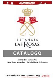 20170203 las rosas durazno