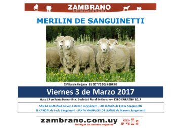 20170303 merilin sangunetti