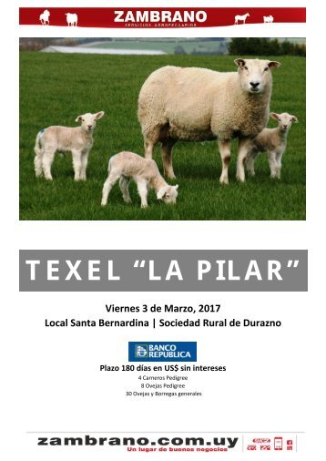 20170303 texel la pilar