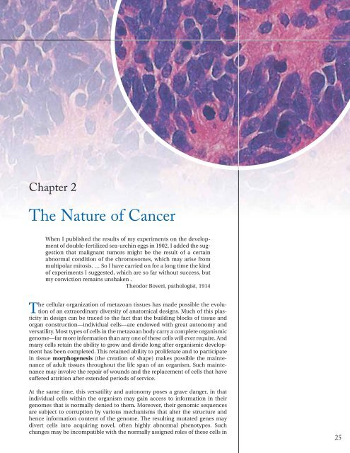 Chapter 2: The Nature of Cancer - Garland Science